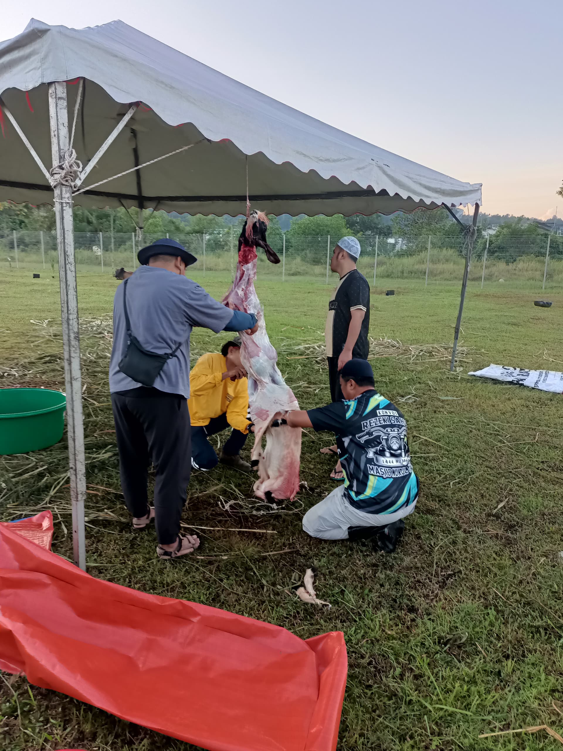 09f5e9ca-fb26-4f25-959d-82e06e8d7d0a