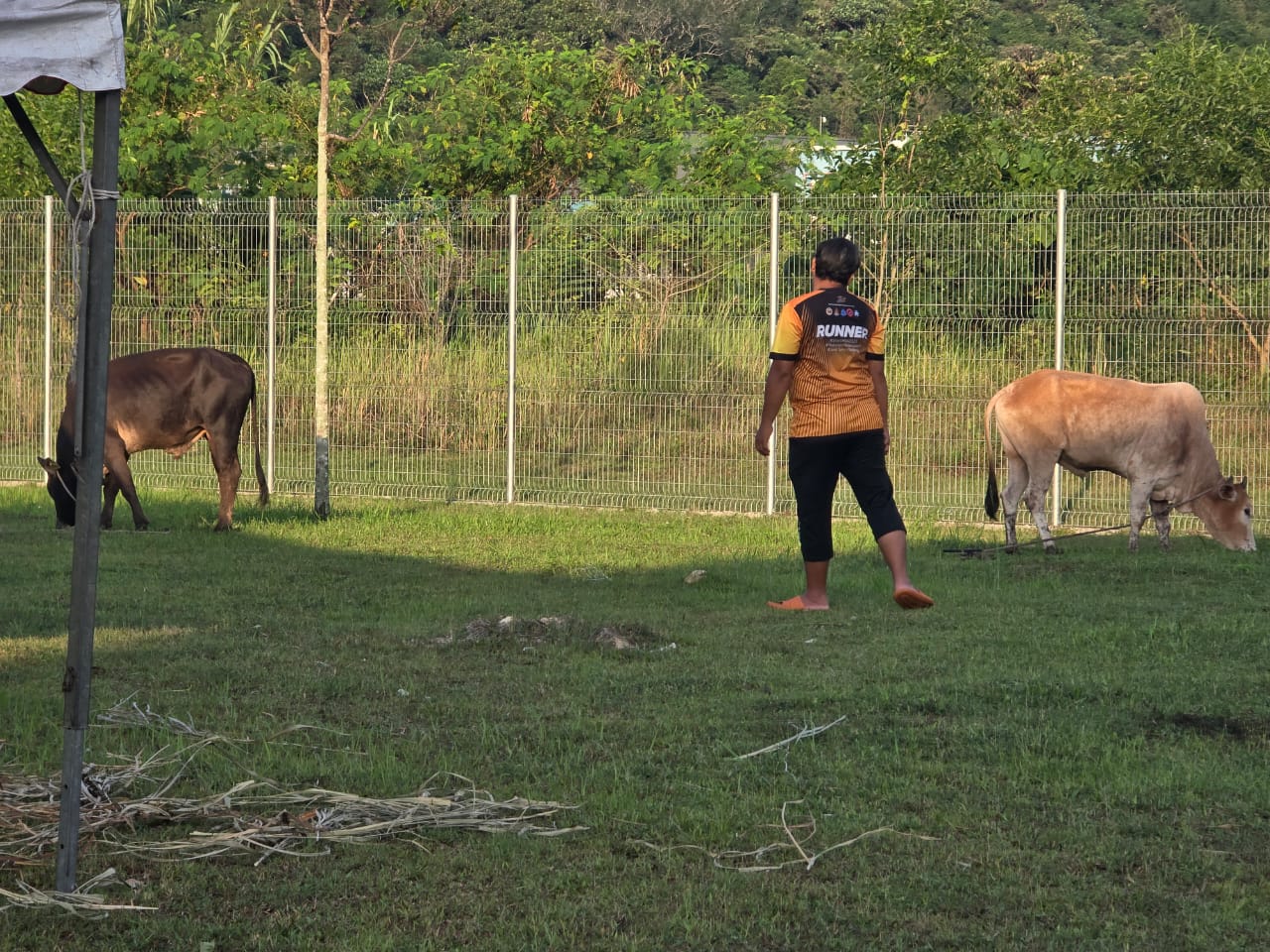 4aa802f0-311a-42a8-87ca-85445a47b266