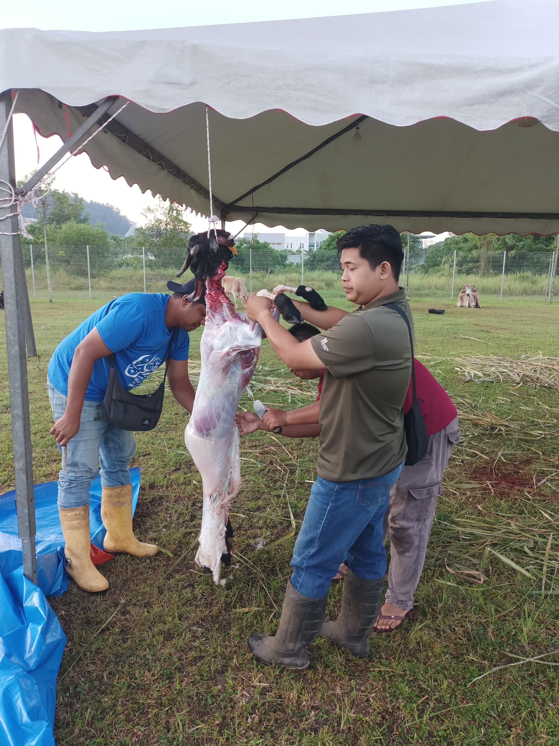 66f5b292-f6f8-46ce-921b-63bd5514fbe4