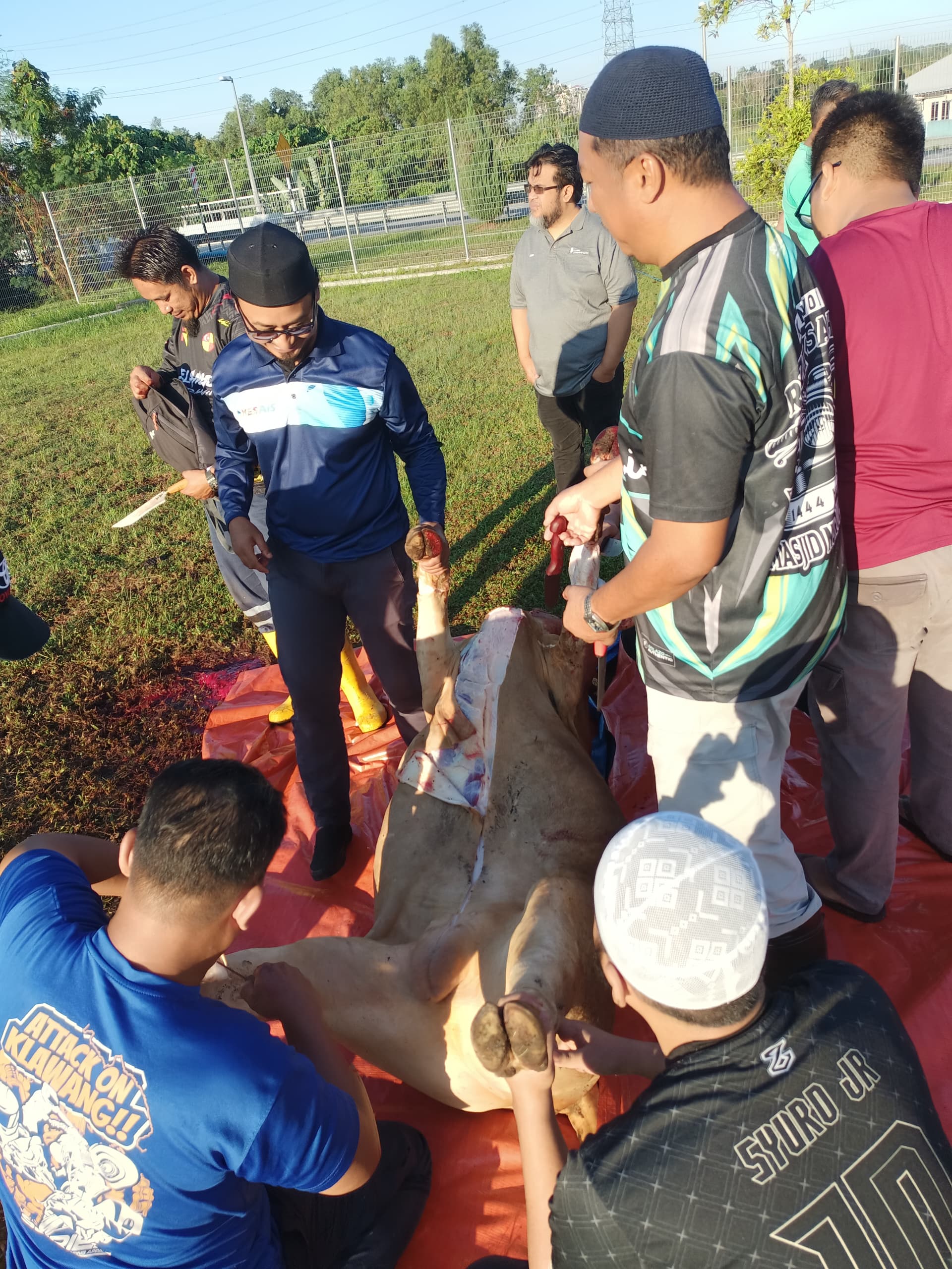 85d60034-a53b-4a76-a4d9-50b9d37751f5