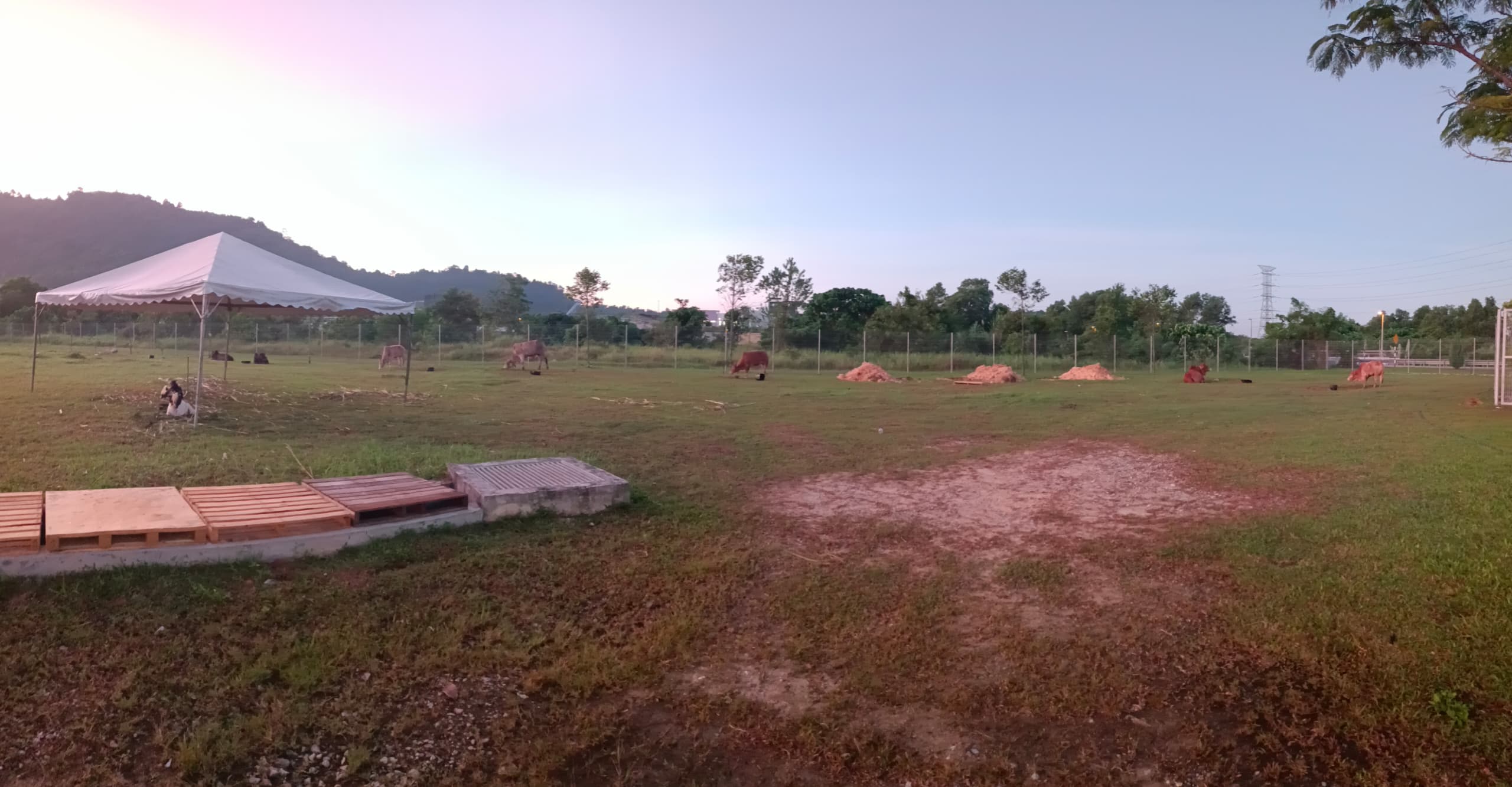 e8aa1370-db2e-447a-87b6-d23c99dfb38f